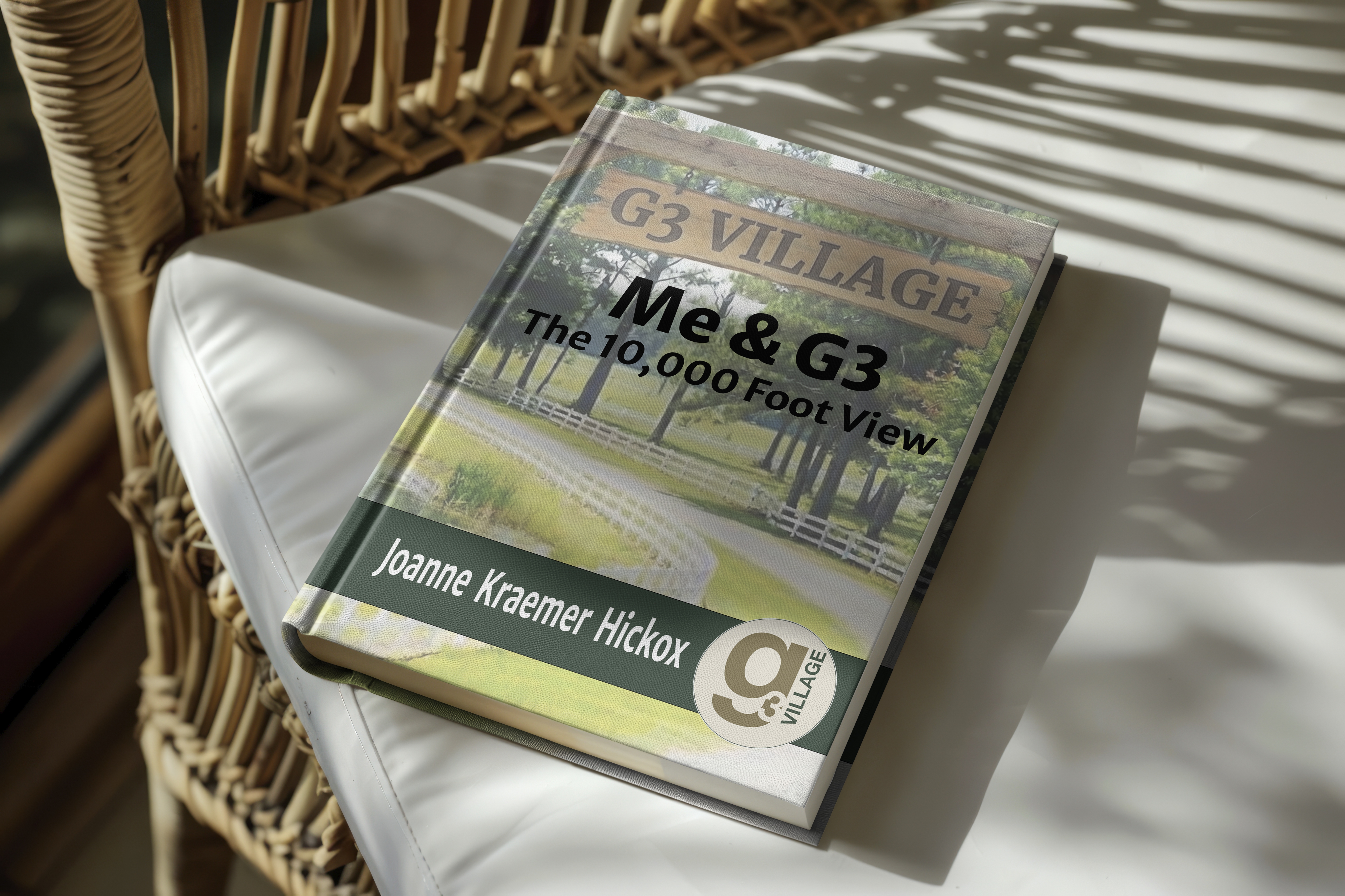 Image of Joannes new book placed on a chair